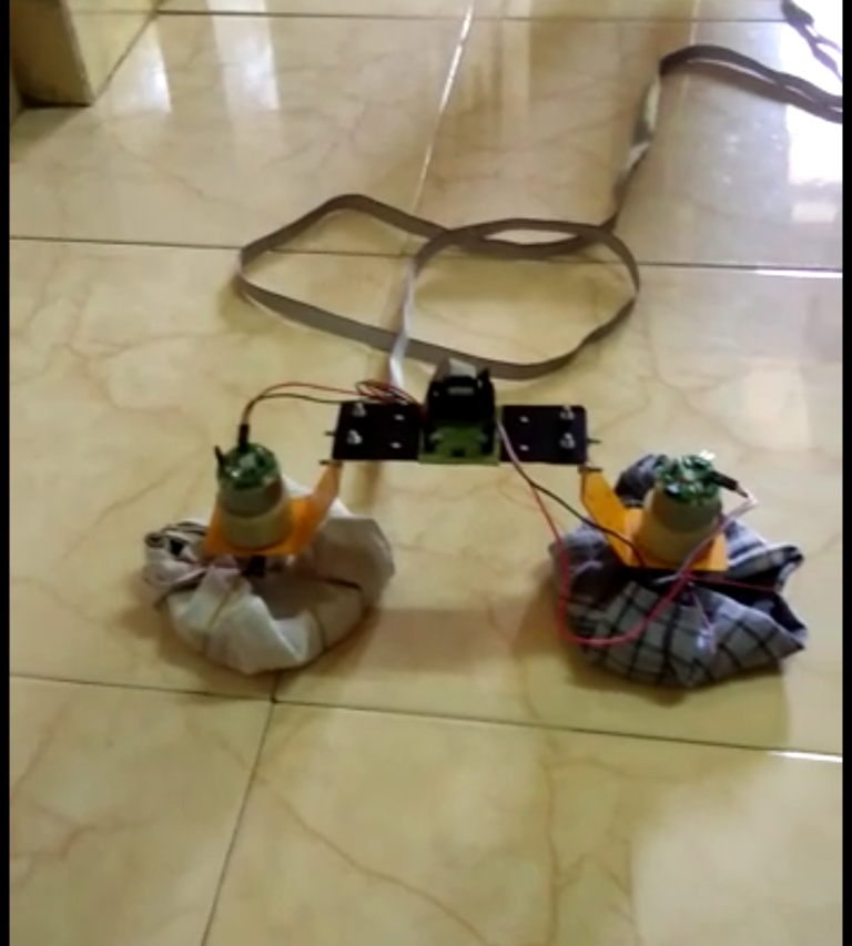 Mopping Robot – Viraj